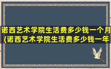 诺西艺术学院生活费多少钱一个月(诺西艺术学院生活费多少钱一年)