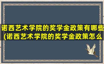 诺西艺术学院的奖学金政策有哪些(诺西艺术学院的奖学金政策怎么样)