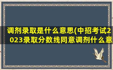 调剂录取是什么意思(中招考试2023录取分数线同意调剂什么意思)