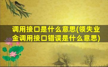 调用接口是什么意思(领失业金调用接口错误是什么意思)