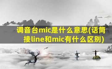 调音台mic是什么意思(话筒接line和mic有什么区别)