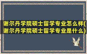 谢尔丹学院硕士留学专业怎么样(谢尔丹学院硕士留学专业是什么)