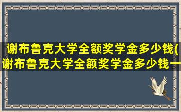 谢布鲁克大学全额奖学金多少钱(谢布鲁克大学全额奖学金多少钱一个月)