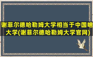 谢菲尔德哈勒姆大学相当于中国啥大学(谢菲尔德哈勒姆大学官网)