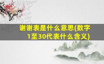 谢谢表是什么意思(数字1至30代表什么含义)