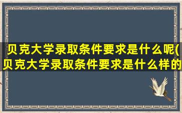 贝克大学录取条件要求是什么呢(贝克大学录取条件要求是什么样的)