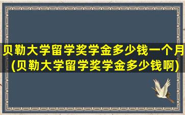 贝勒大学留学奖学金多少钱一个月(贝勒大学留学奖学金多少钱啊)