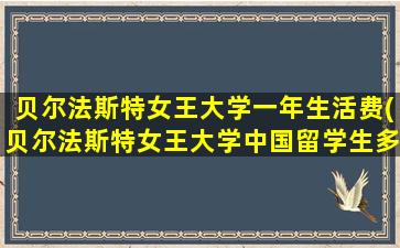 贝尔法斯特女王大学一年生活费(贝尔法斯特女王大学中国留学生多吗)