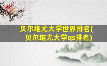 贝尔维尤大学世界排名(贝尔维尤大学qs排名)