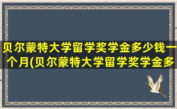 贝尔蒙特大学留学奖学金多少钱一个月(贝尔蒙特大学留学奖学金多少钱)