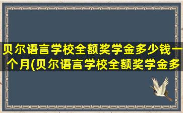 贝尔语言学校全额奖学金多少钱一个月(贝尔语言学校全额奖学金多少钱啊)