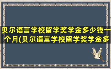 贝尔语言学校留学奖学金多少钱一个月(贝尔语言学校留学奖学金多少钱)