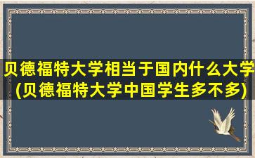 贝德福特大学相当于国内什么大学(贝德福特大学中国学生多不多)