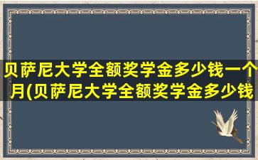 贝萨尼大学全额奖学金多少钱一个月(贝萨尼大学全额奖学金多少钱)