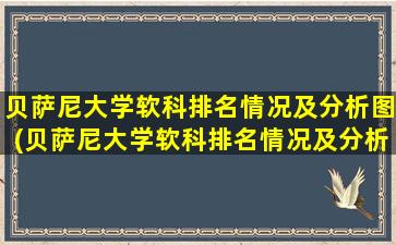 贝萨尼大学软科排名情况及分析图(贝萨尼大学软科排名情况及分析图片)