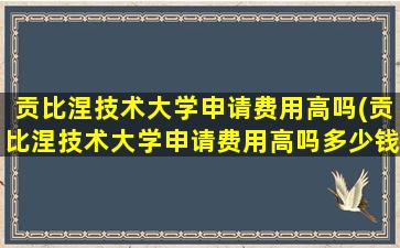 贡比涅技术大学申请费用高吗(贡比涅技术大学申请费用高吗多少钱)