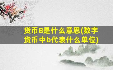 货币B是什么意思(数字货币中b代表什么单位)