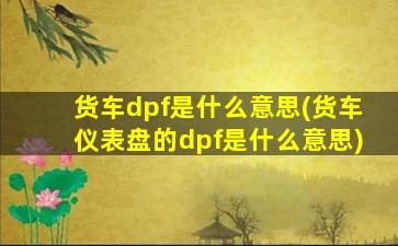 货车dpf是什么意思(货车仪表盘的dpf是什么意思)