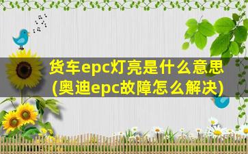 货车epc灯亮是什么意思(奥迪epc故障怎么解决)