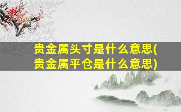 贵金属头寸是什么意思(贵金属平仓是什么意思)