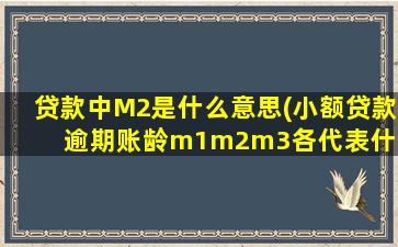 贷款中M2是什么意思(小额贷款逾期账龄m1m2m3各代表什么意思)