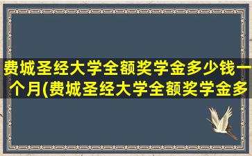 费城圣经大学全额奖学金多少钱一个月(费城圣经大学全额奖学金多少钱)