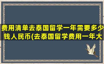 费用清单去泰国留学一年需要多少钱人民币(去泰国留学费用一年大概多少)