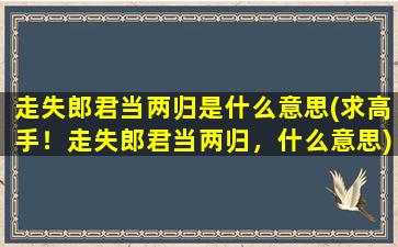 走失郎君当两归是什么意思(求高手！走失郎君当两归，什么意思)