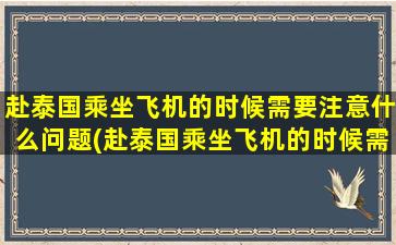 赴泰国乘坐飞机的时候需要注意什么问题(赴泰国乘坐飞机的时候需要注意什么安全)