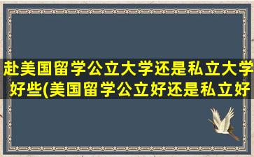 赴美国留学公立大学还是私立大学好些(美国留学公立好还是私立好)