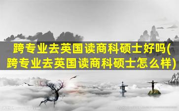 跨专业去英国读商科硕士好吗(跨专业去英国读商科硕士怎么样)