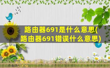 路由器691是什么意思(路由器691错误什么意思)