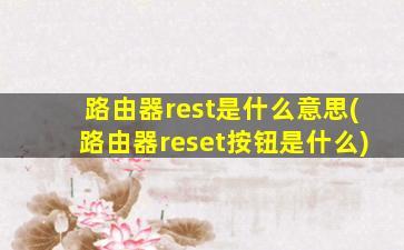 路由器rest是什么意思(路由器reset按钮是什么)