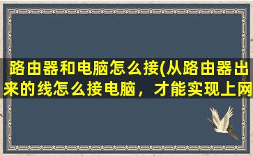 路由器和电脑怎么接(从路由器出来的线怎么接电脑，才能实现上网)