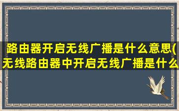 路由器开启无线广播是什么意思(无线路由器中开启无线广播是什么意思)