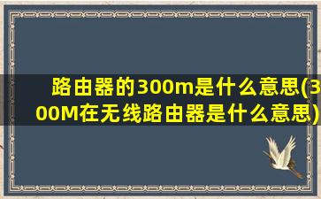 路由器的300m是什么意思(300M在无线路由器是什么意思)