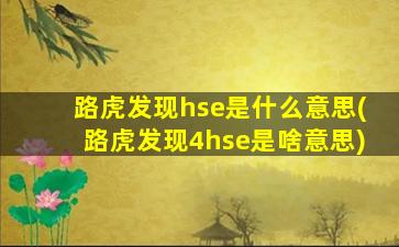 路虎发现hse是什么意思(路虎发现4hse是啥意思)