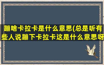 蹦啥卡拉卡是什么意思(总是听有些人说蹦下卡拉卡这是什么意思呀)