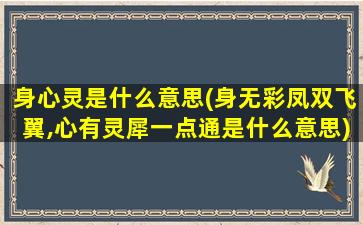 身心灵是什么意思(身无彩凤双飞翼,心有灵犀一点通是什么意思)