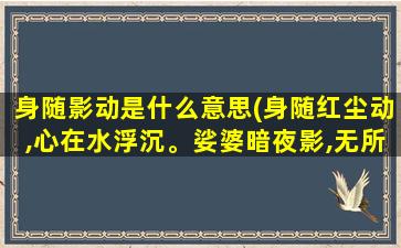 身随影动是什么意思(身随红尘动,心在水浮沉。娑婆暗夜影,无所谓痴嗔。表达什么意思)