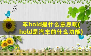 车hold是什么意思啊(hold是汽车的什么功能)