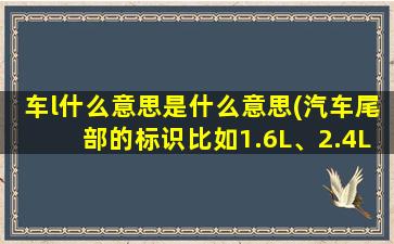 车l什么意思是什么意思(汽车尾部的标识比如1.6L、2.4L等，这个L是什么意思别和我说升)