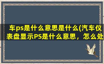 车ps是什么意思是什么(汽车仪表盘显示PS是什么意思，怎么处理啊)