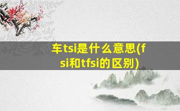 车tsi是什么意思(fsi和tfsi的区别)