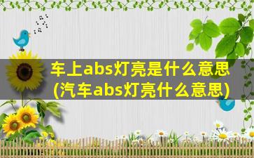 车上abs灯亮是什么意思(汽车abs灯亮什么意思)