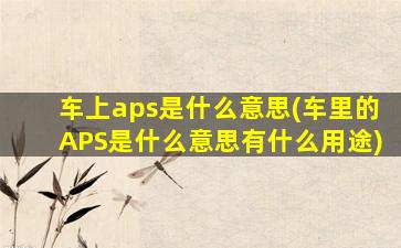 车上aps是什么意思(车里的APS是什么意思有什么用途)