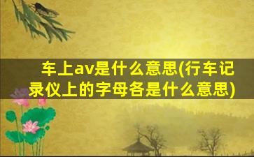 车上av是什么意思(行车记录仪上的字母各是什么意思)