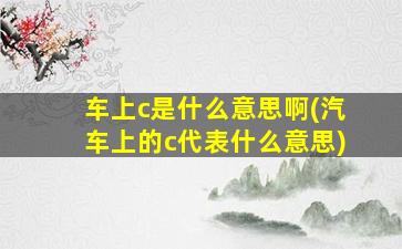 车上c是什么意思啊(汽车上的c代表什么意思)