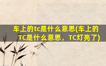 车上的tc是什么意思(车上的TC是什么意思，TC灯亮了)