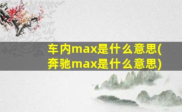 车内max是什么意思(奔驰max是什么意思)